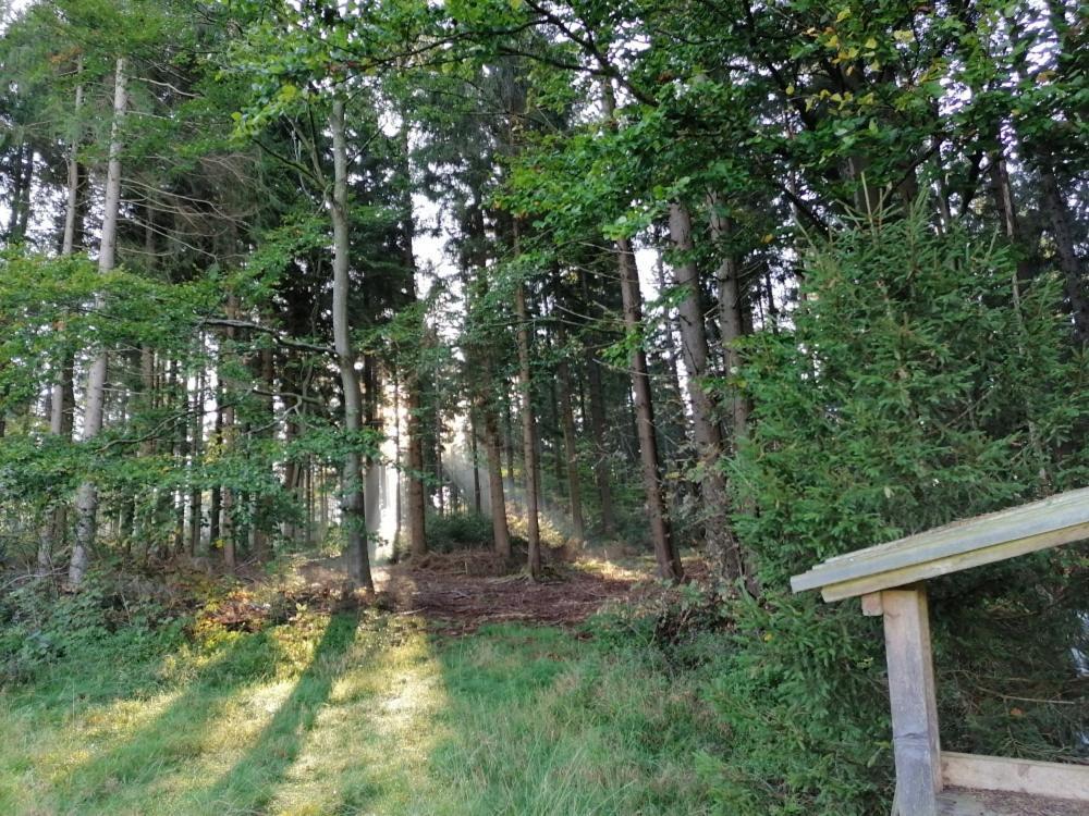 Landhotel Haagerhof Aigen im Mühlkreis Extérieur photo